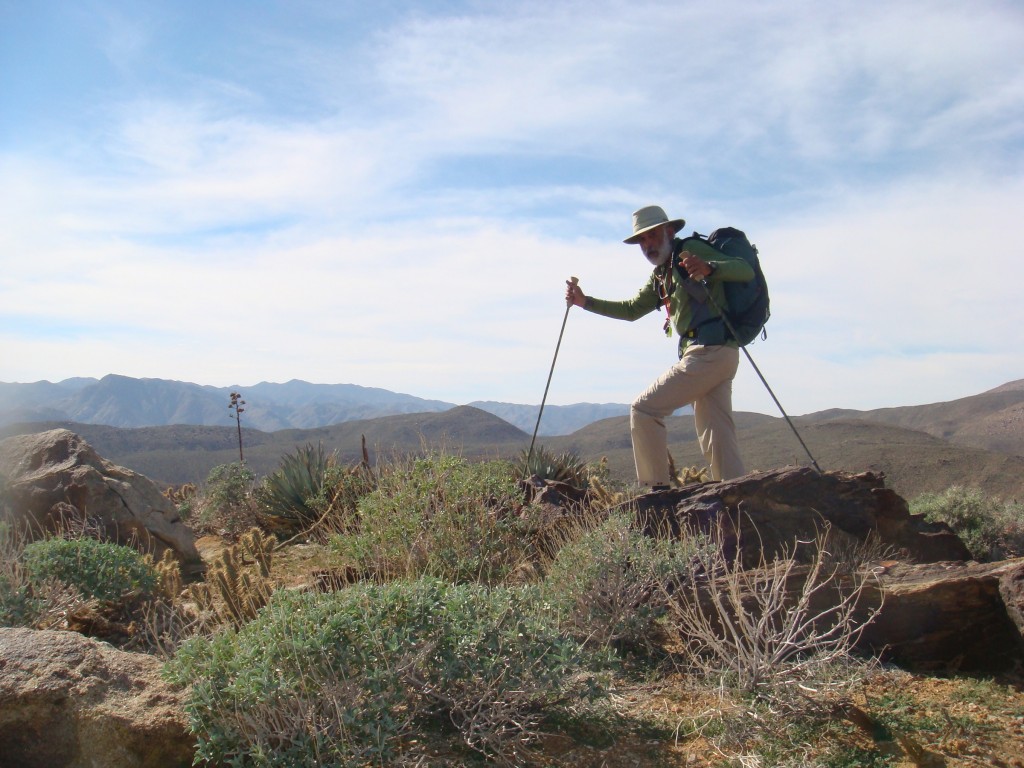 trekking-poles-popupbackpacker