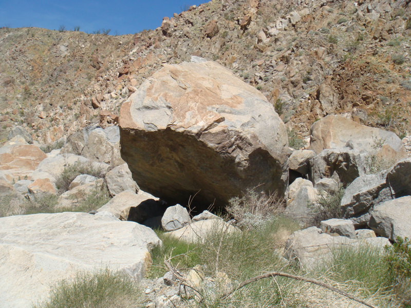 Anza Borrego #14 Mar 09