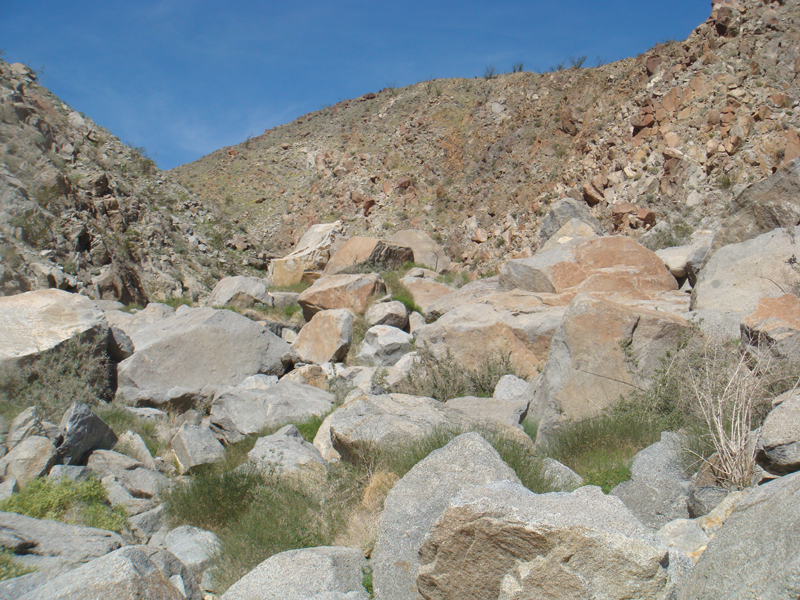 Anza Borrego #15 Mar 09