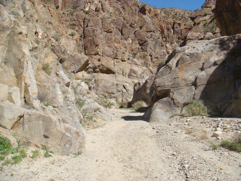 Anza Borrego #16 Mar 09