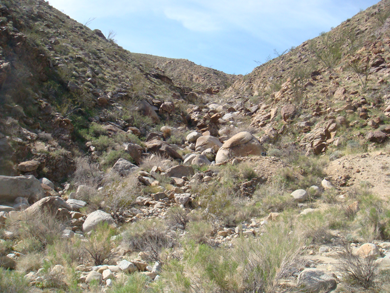 Anza Borrego #17 Mar 09