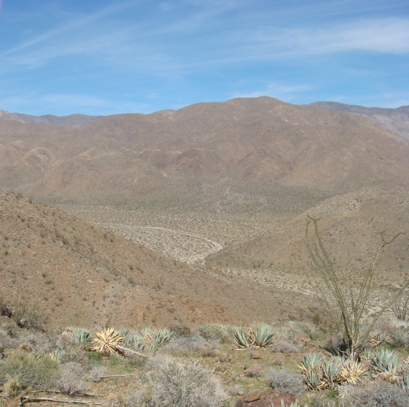 Anza Borrego #19 Mar 09