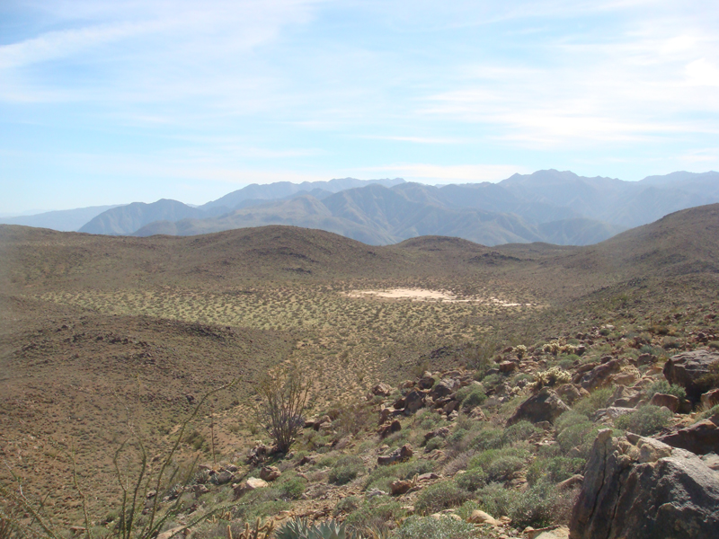 Anza Borrego #21 Mar 09