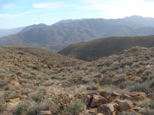 Anza Borrego #29 Mar 09