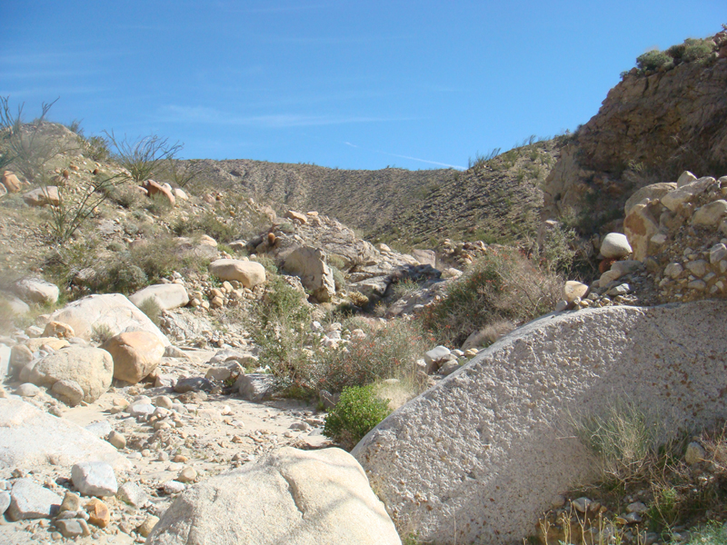 Anza Borrego #33 Mar 09