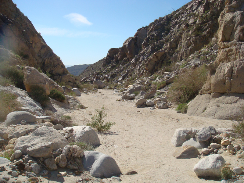 Anza Borrego #34 Mar 09