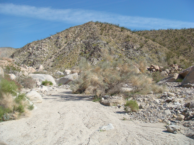 Anza Borrego #35 Mar 09