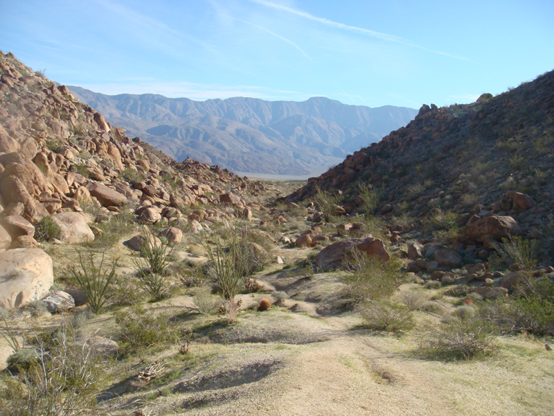 Anza Borrego #6 Mar 09