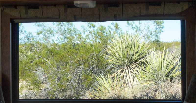 View from the rear picture window.