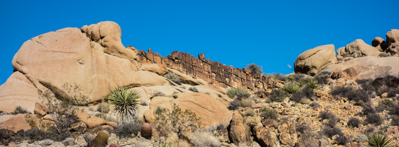 Joshua Tree Jan 2014-6