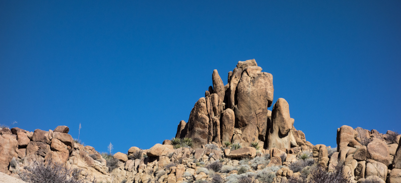 Joshua Tree Jan 2014