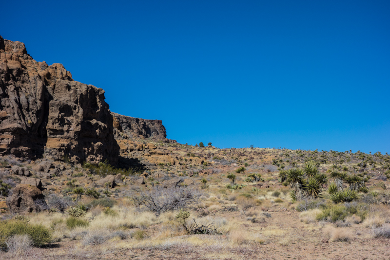 Mojave Feb 2014-1-7