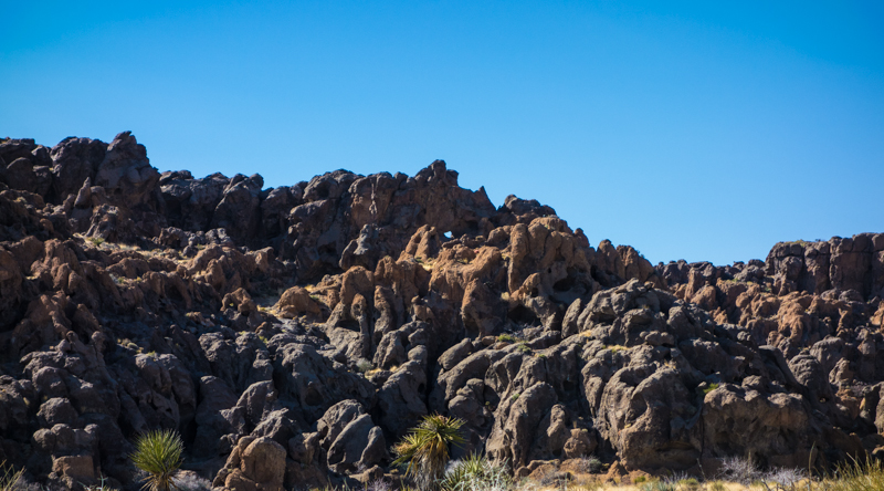 Mojave Feb 2014 (1 of 1)-2