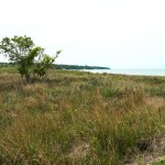 Headlands State Beach