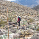 Anza Borrego Hiking