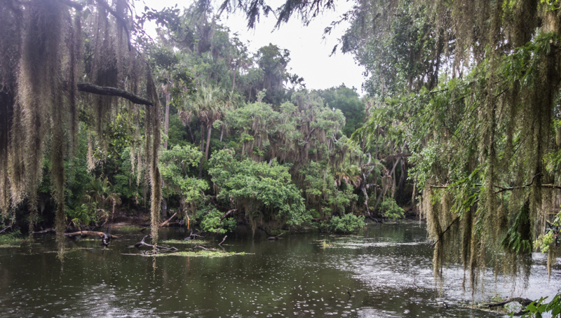 Backpacking in the rain Florida 05-20-2015