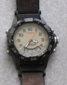 Timex Expedition