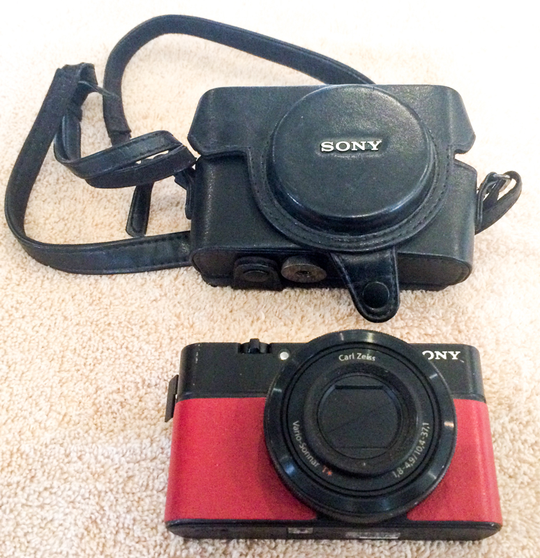 Sony RX100 Case