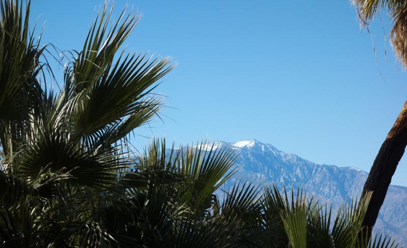 Mt-San-Jacinto-and-Palms