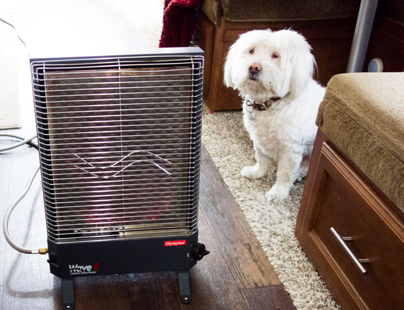 Corky likes to lay in front of the heater at night. He is warmer than us!