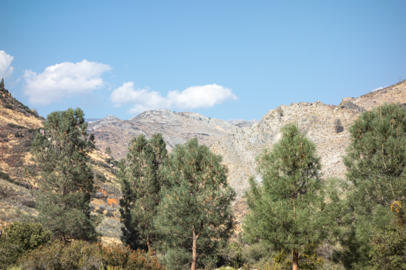 Sequoia National Forest