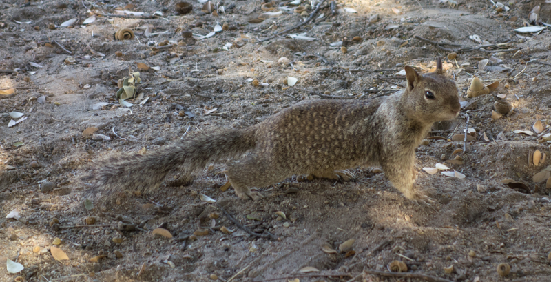 much time was spent watching squirrels gathering and eating for winter, books were read, good conversation was had, and even more time invested in doing nothing but daydreaming and thinking