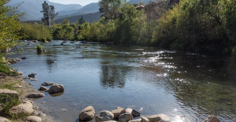 a 60 second walk from camper to river